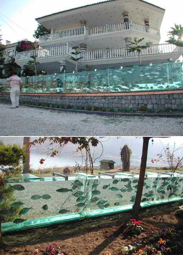 DIY fence ideas, Aquarium Fence