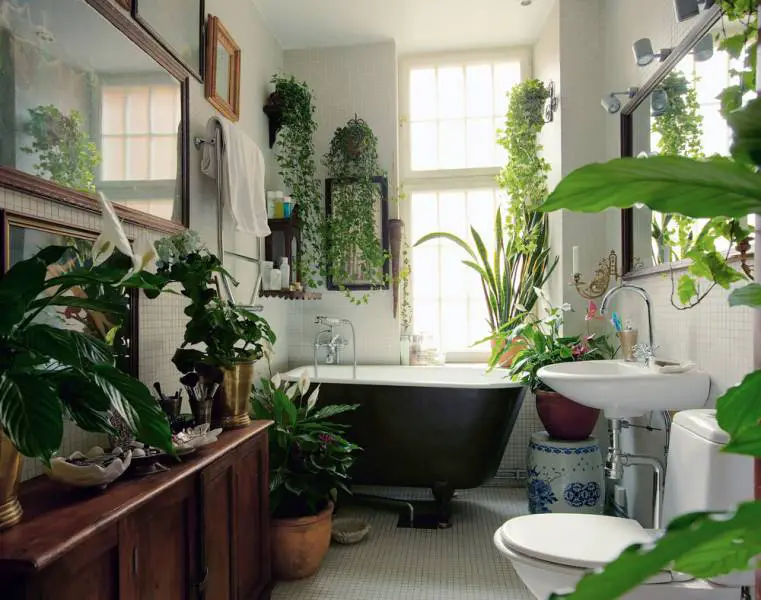 plants-bath