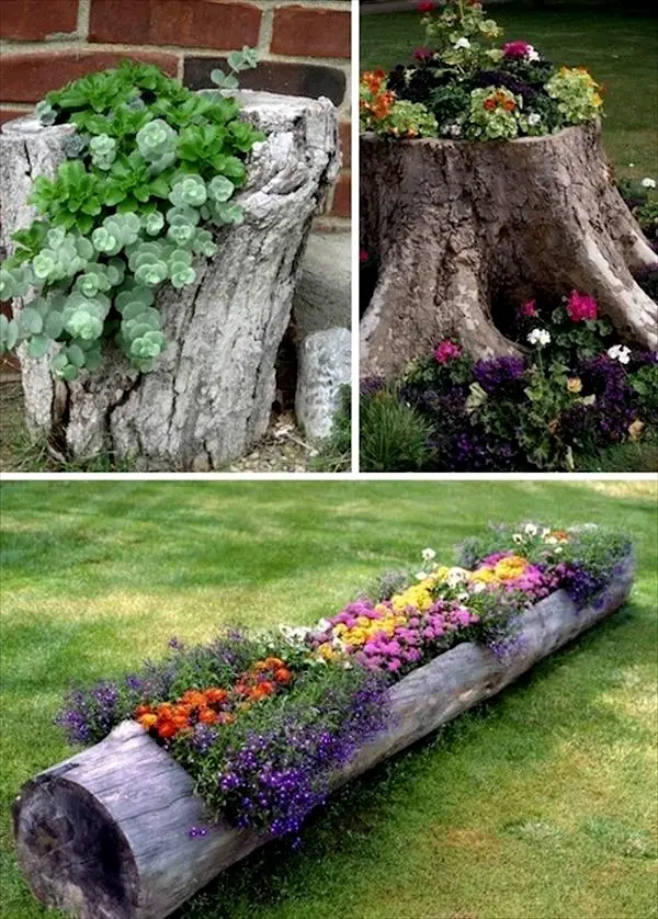 DIY Tree Stump Planters, DIY Backyard Projects