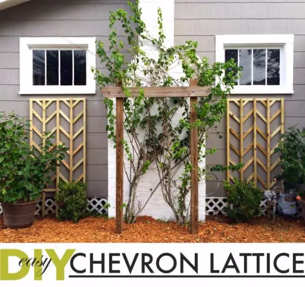 Beautiful DIY Chevron Lattice Trellis, Front Yard Landscaping Ideas and projects