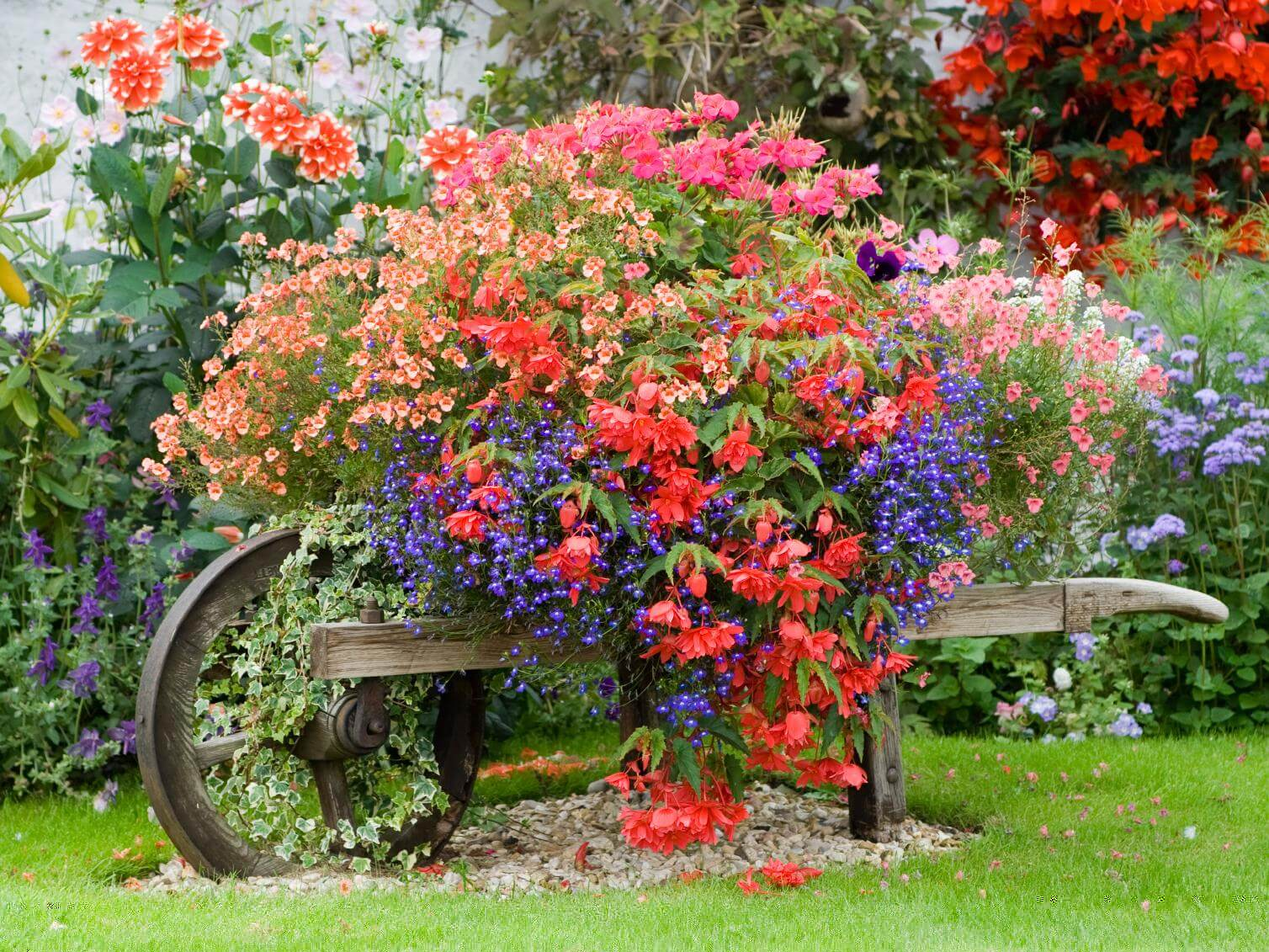 Beautiful Planted Wheelbarrow, Front Yard Landscaping Ideas and projects