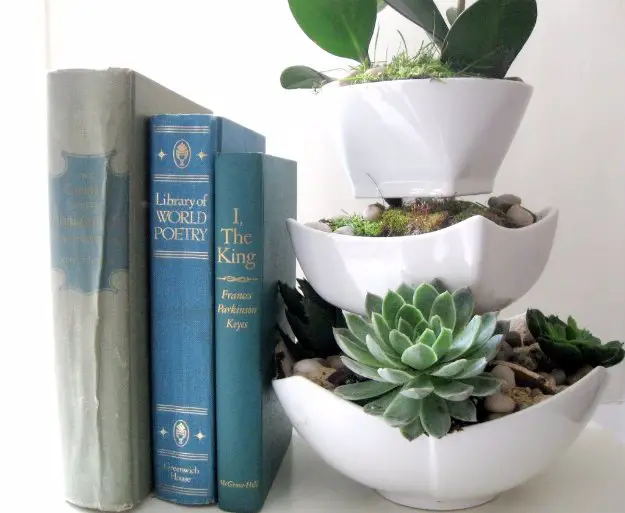 Crafts to Make and Sell, Beautiful Ceramic Bowl Succulents