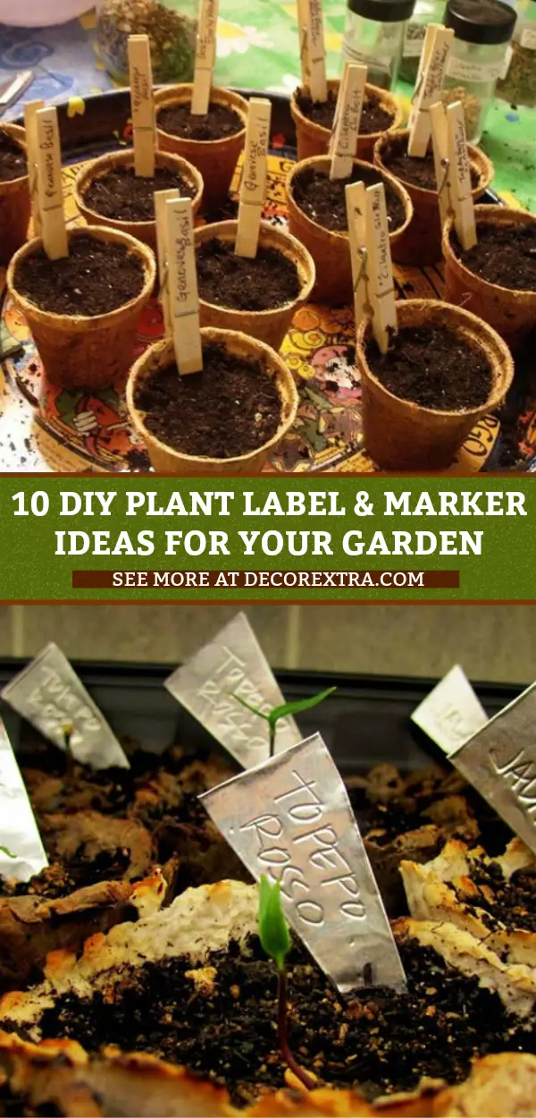 Plant Labels: 10 DIY Plant Label and Marker Ideas for your Garden!