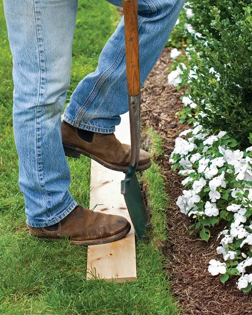 Edge a Law, Front Yard Landscaping Ideas
