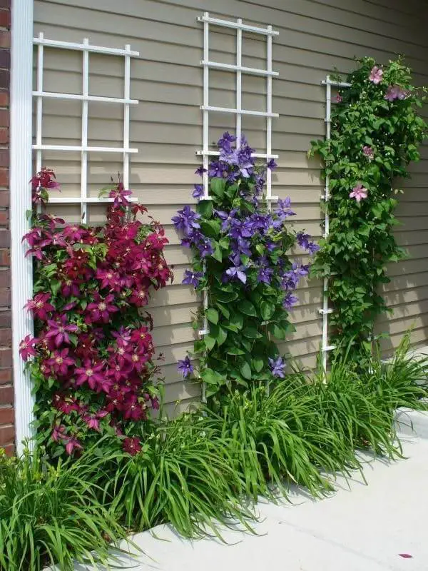 Hide Ugly Walls with Clematis Vines with Daylilies,Front Yard Landscaping Ideas and projects