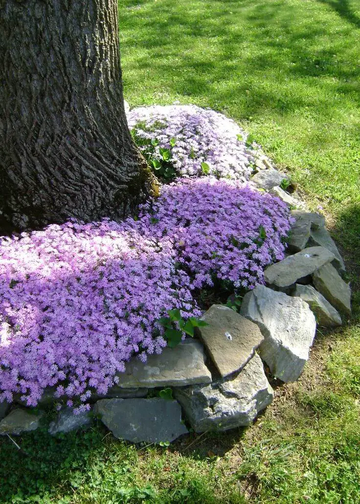 Stone Edged Flowerbed, Front Yard Landscaping Ideas and projects