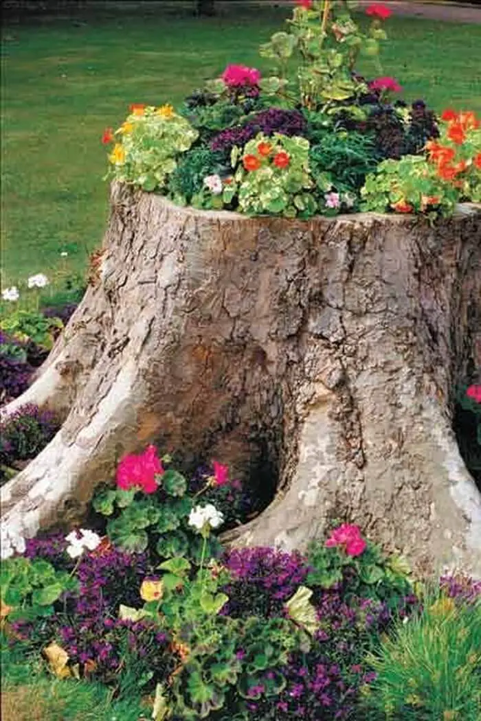 Tree Stump Planter, Front Yard Landscaping Ideas and projects