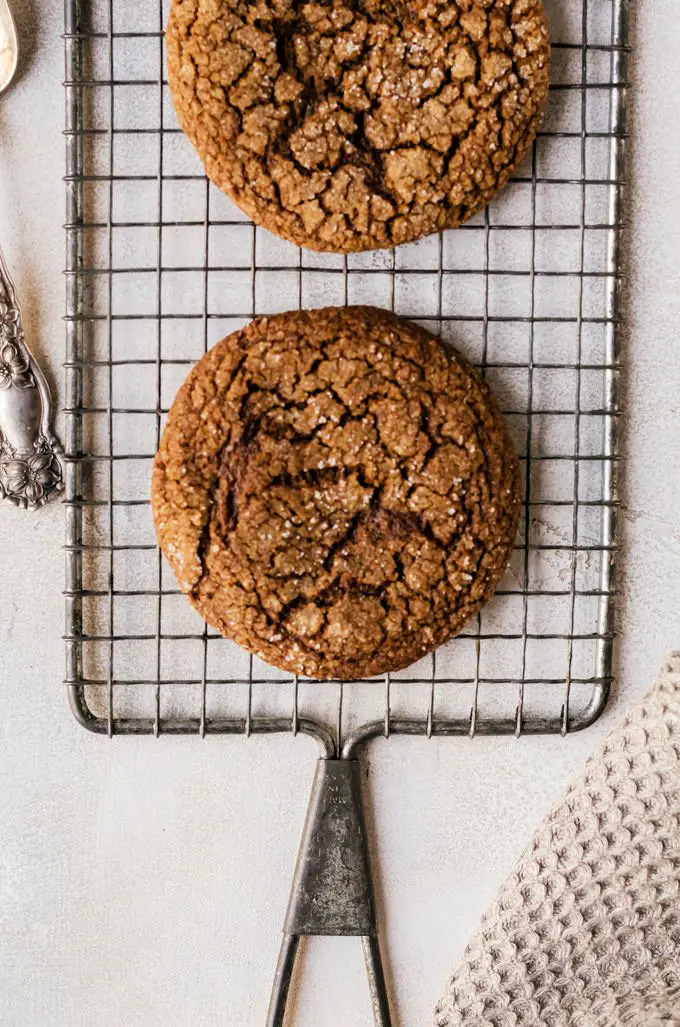 20+ Delicious Cookie Recipes and Ideas, Chewy Molasses Cookies