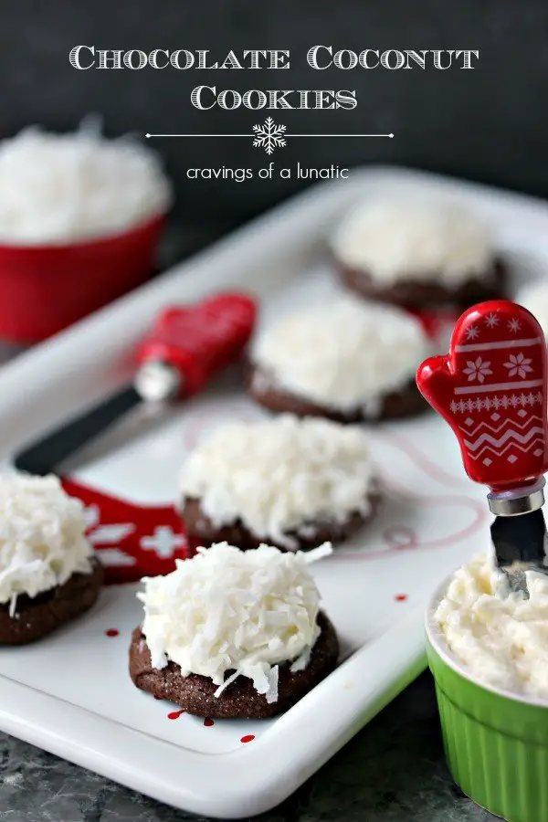 20+ Delicious Cookie Recipes and Ideas, Chocolate Coconut Cookies