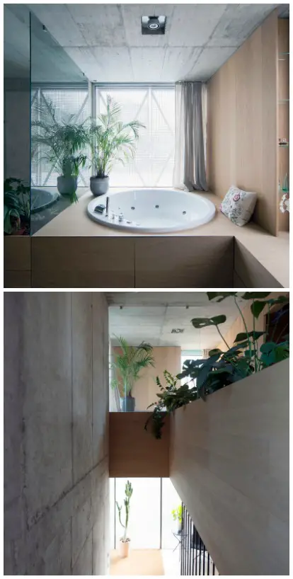 Minimalist House Villa Criss-Cross Envelope, Slovenia. Bathroom with Bathtub and Plants